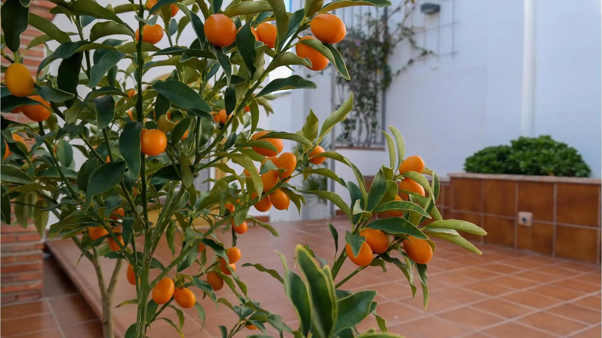Nice Apartment In Fuengirola, Malaga With Kitchen Fuengirola